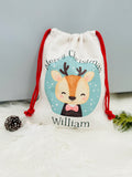 Cute Reindeer Christmas Sack, Turquoise